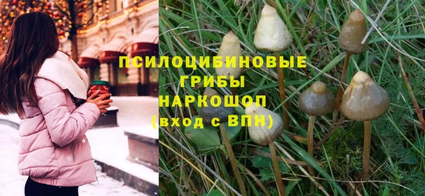 ешки Белоозёрский
