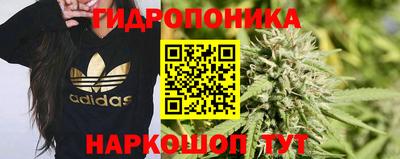 apvp Гусиноозёрск
