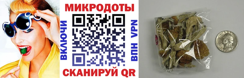 ОМГ ОМГ онион  Бузулук  Галлюциногенные грибы GOLDEN TEACHER  купить  цена 