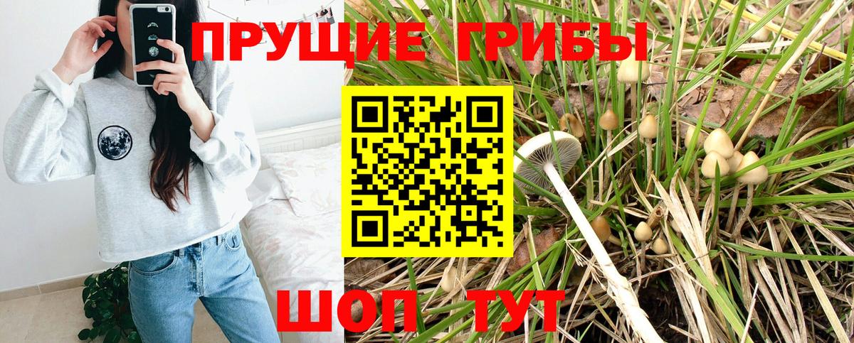 Бузулук  Галлюциногенные грибы MAGIC MUSHROOMS  где продают наркотики  Вход с VPN 